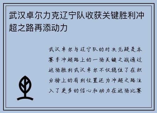 武汉卓尔力克辽宁队收获关键胜利冲超之路再添动力