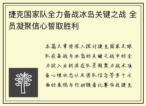 捷克国家队全力备战冰岛关键之战 全员凝聚信心誓取胜利