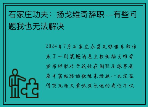 石家庄功夫：扬戈维奇辞职--有些问题我也无法解决